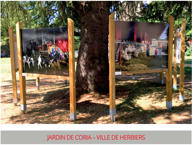 Panneau Bois - Extérieur Jardin - Bois Expo